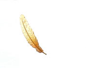 切り分けられる絶妙な羽の金属の羽のしおりの理想的なギフト サポート古典的な直通