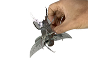 Diy 3Dの昆虫のモデル大人の金属の困惑は鋼鉄材料を汚す